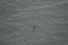 Missing Picture